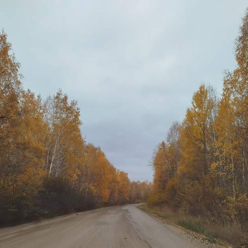 Photo #11307941
