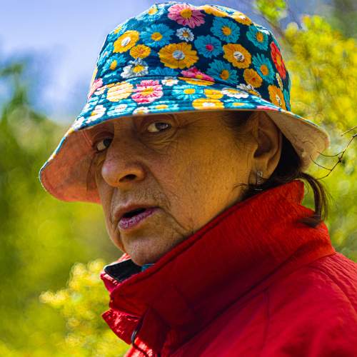 Photo #11308026