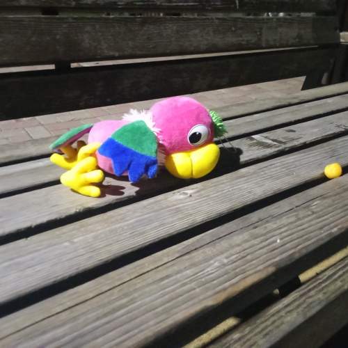 Photo #11308046