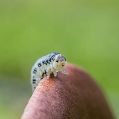 Photo #11308101