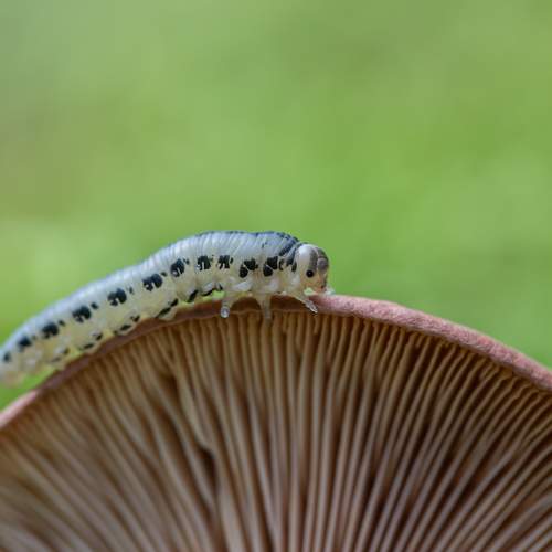 Photo #11308102