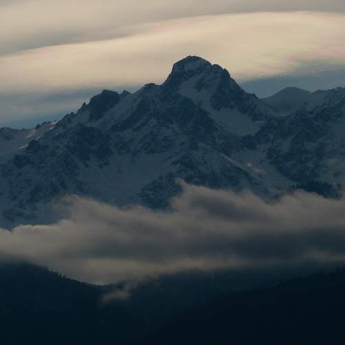 Photo #11308582