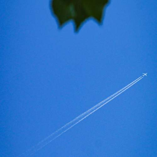 Photo #11308806