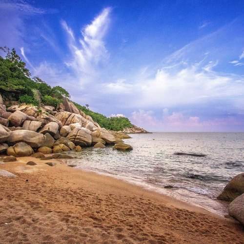 Photo #11309252