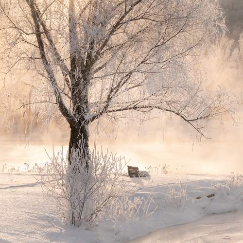 Photo #11309382