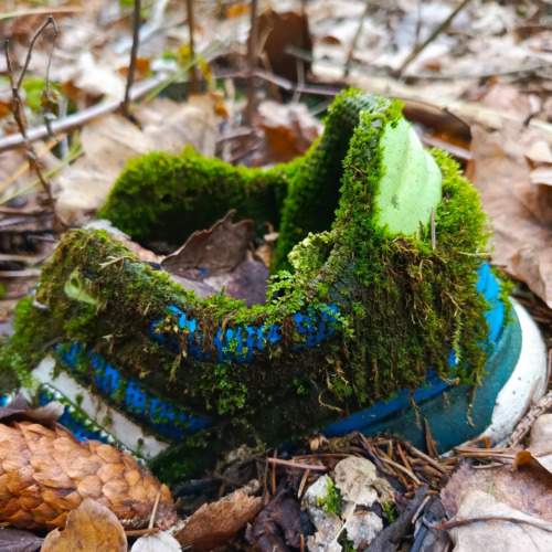 Photo #11309740