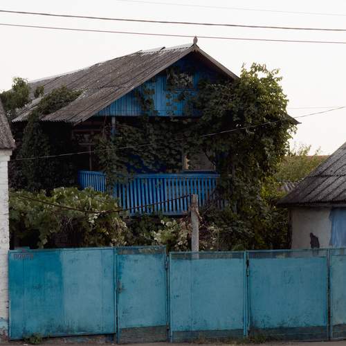 Photo #11309784