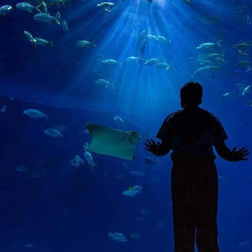 Photo #11309912