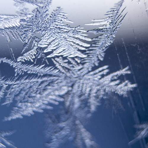 Photo #11309961