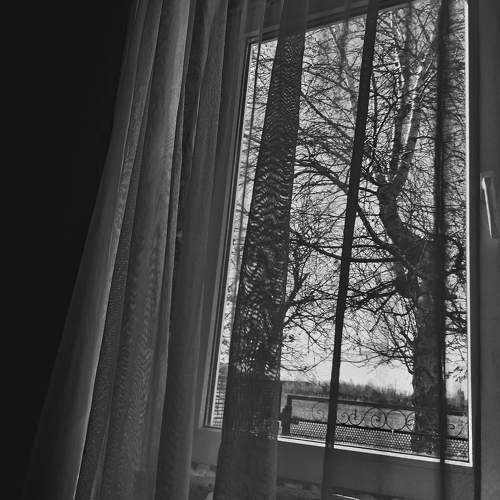 Photo #11310029