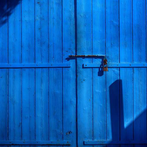 Photo #11310149