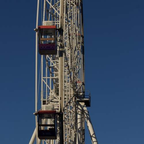 Photo #11310237