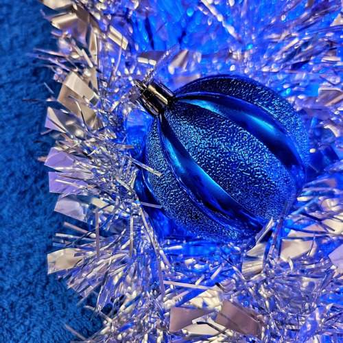 Photo #11310497