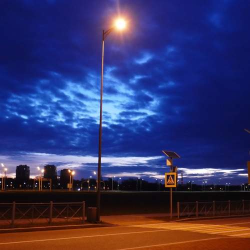 Photo #11310707