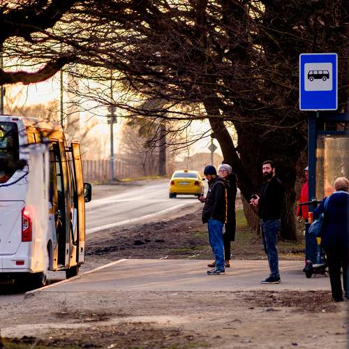Photo #11310986
