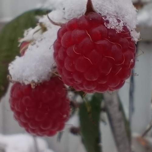 Photo #11311128