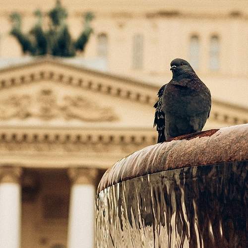 Photo #11311214
