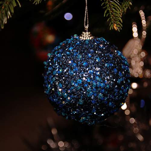 Photo #11312013