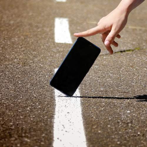 Photo #11312043