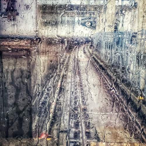 Photo #11312106