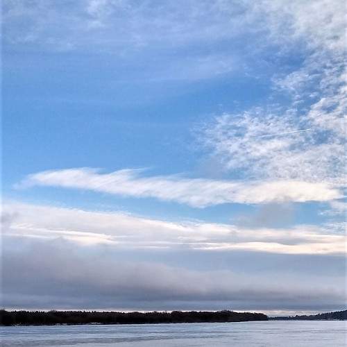 Photo #11312221