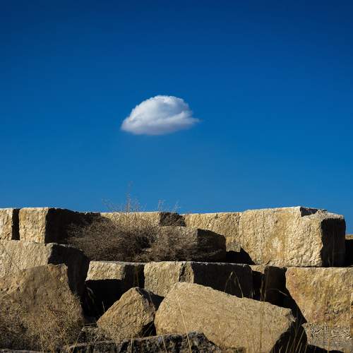 Photo #11312256