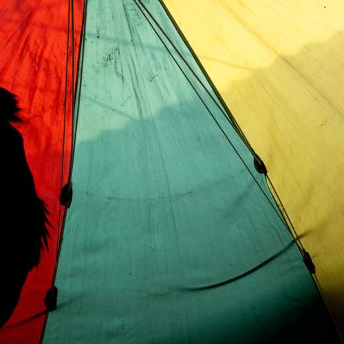 Photo #11312402