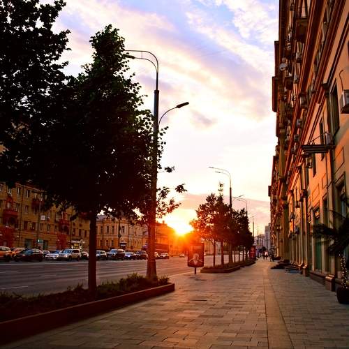 Photo #11312421