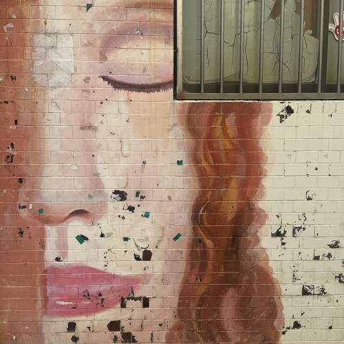 Photo #11312490
