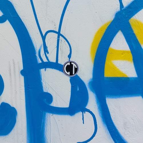 Photo #11312566