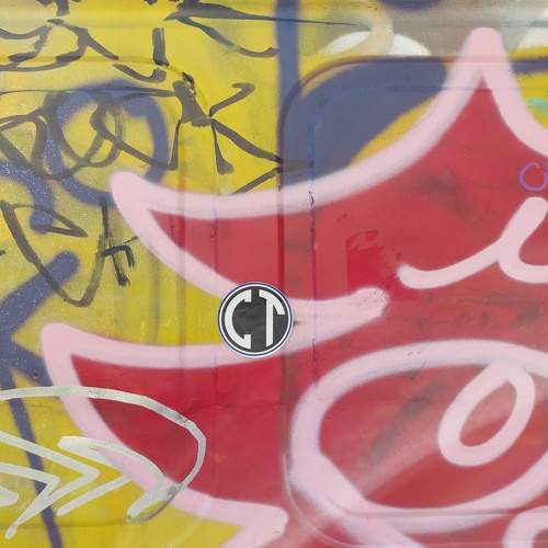 Photo #11312572