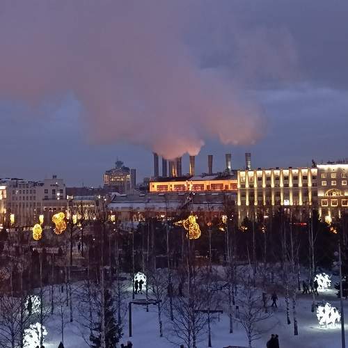 Photo #11313050