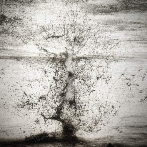 Photo #11313202