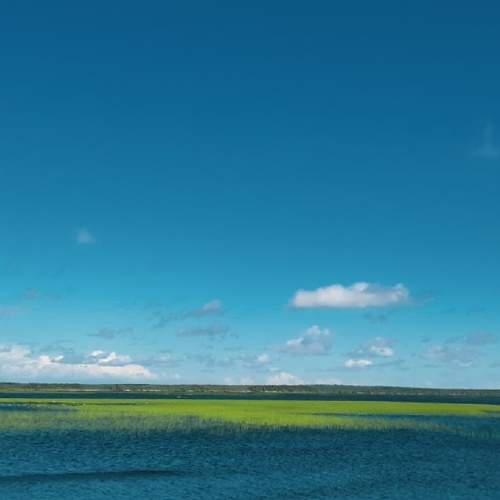 Photo #11313280