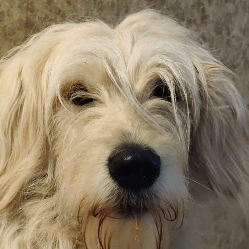 Photo #11313302