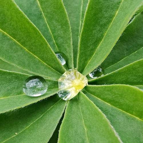 Photo #11313512