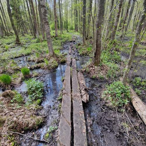 Photo #11313527