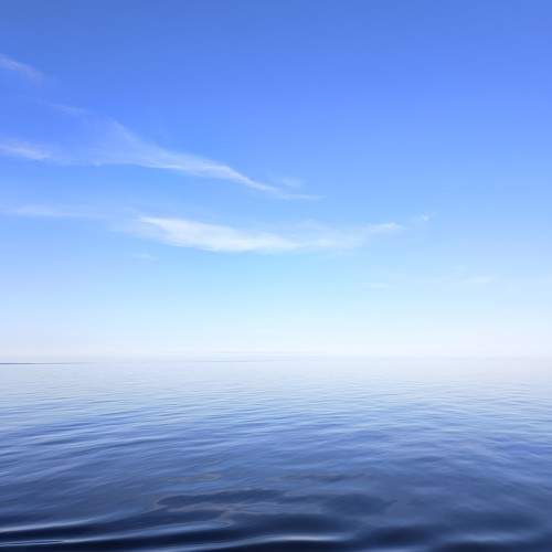 Photo #11313646