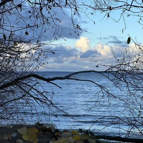 Photo #11313699