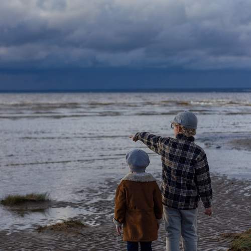 Photo #11313719