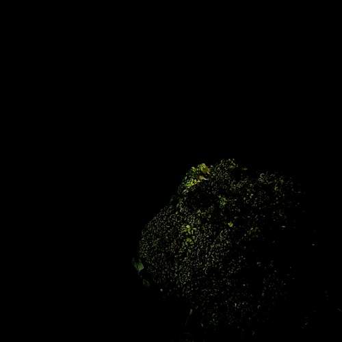 Photo #11313802