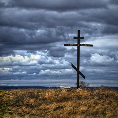 Photo #11313986