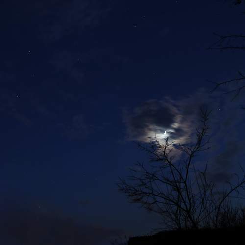 Silence in the night