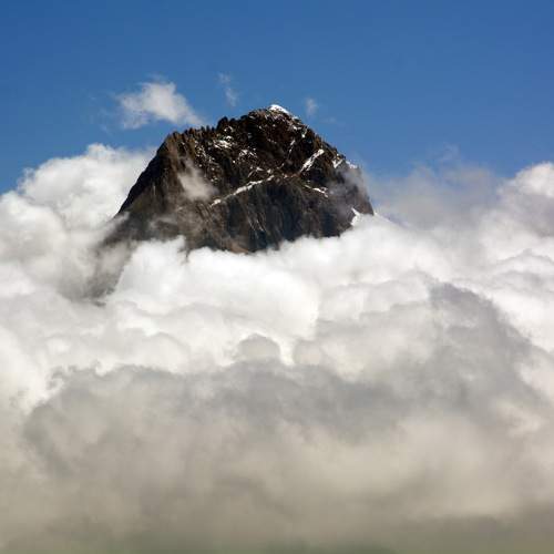 Photo #11314044