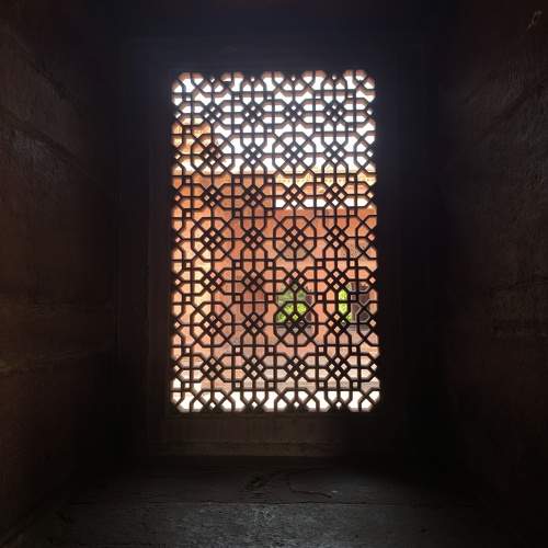 Photo #11314096