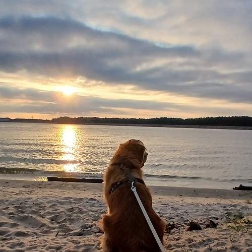 Photo #11314346
