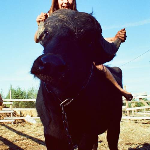 Photo #11314449