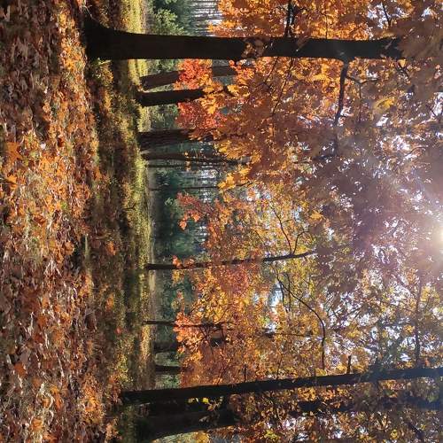 Photo #11314548