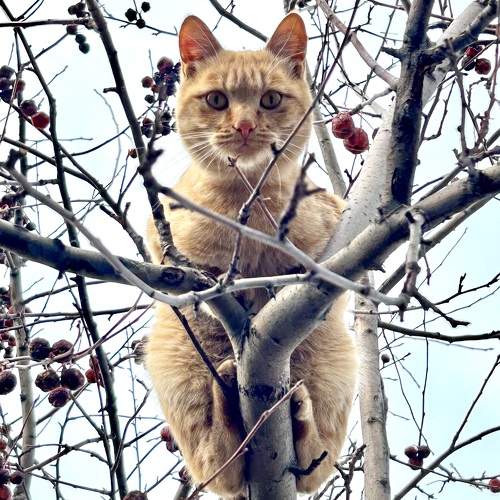 Photo #11315093