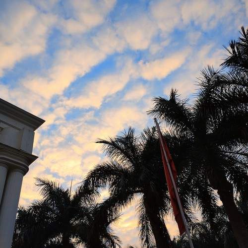 Photo #11315113